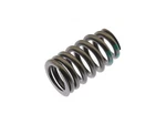 Valve Spring 67YJTJH15 For Tahoe Silverado 1500 Express 2500 3500 4500 Lcf New. Price: $23.08.