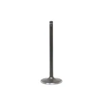 Dnj IV4243 Intake Valve Fits 2014-2022 Chevrolet Silverado 1500 New. Price: $33.99.