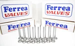 Ferrea 5000 Valves Std Size Honda Acura B16A B18C Dohc Vtec B-series Gsr New. Price: $229.00.