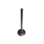 Engine Exhaust Valve-dohc, 16 Valves Dnj EV429 Fits 2003 Kia Rio 1.6L-L4 New. Price: $17.75.