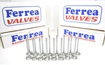 Ferrea 5000 Series Std Flat Valves 92-00 Honda D16Y8 D16Y7 D16Z6 Sohc New. Price: $229.00.