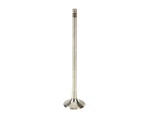 For 2006-2009 Audi A3 Quattro Exhaust Valve Trw 94195QDXP 2007 2008 3.2L V6 New. Price: $33.28.