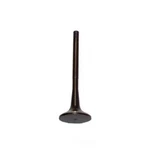 Engine Exhaust Valve-sohc, Code: Aaa, 12 Valves Dnj EV815 New. Price: $15.51.